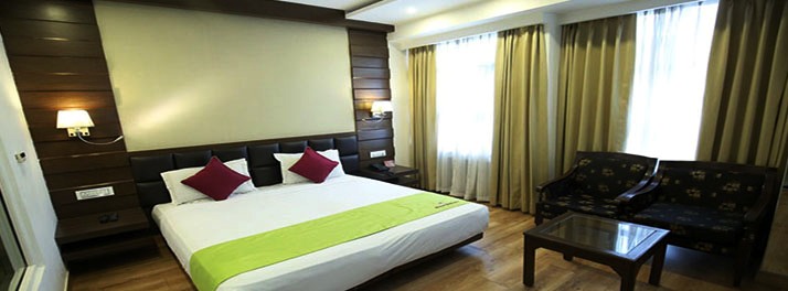 2175/Hotel Metro Heights - New Delhi 08.jpg